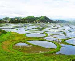Tour Package In North East India