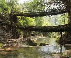 North East India Holiday Package