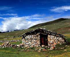 Honeymoon Tour To North East India