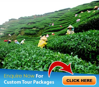 North East India Tour Packages