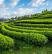North East India Tour Packages